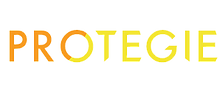 Protegie Consultancy